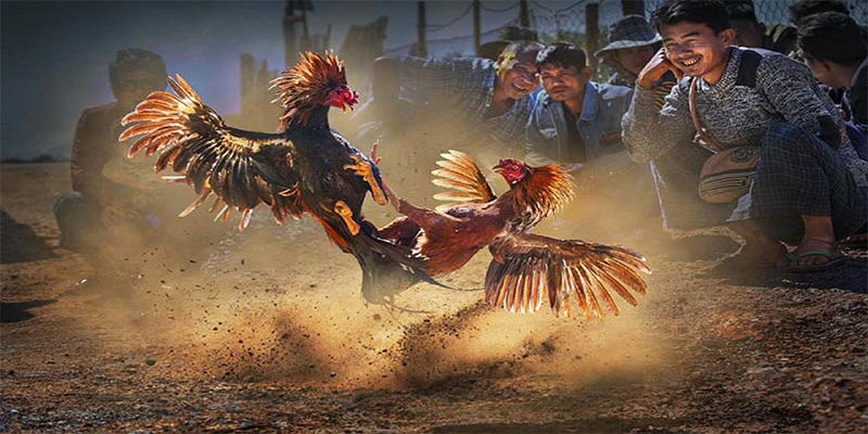 so xo 888 chơi bắn cá đổi thưởng