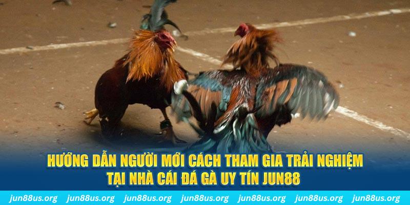 so xo 888 CQ9 Điện Tử