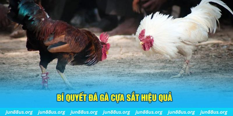 so xo 888 xin 1 slot là gì
