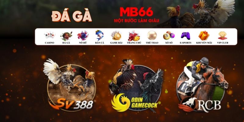 so xo 888 đăng nhập poker số 1