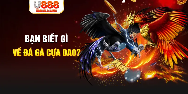 so xo 888 nổ hủ là gì