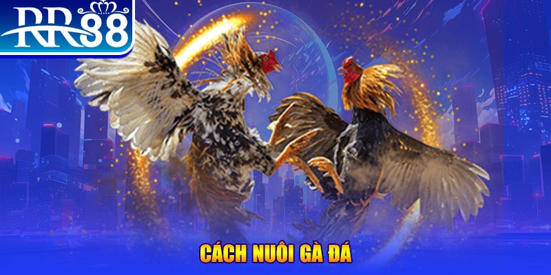 so xo 888 xổ số an giang
