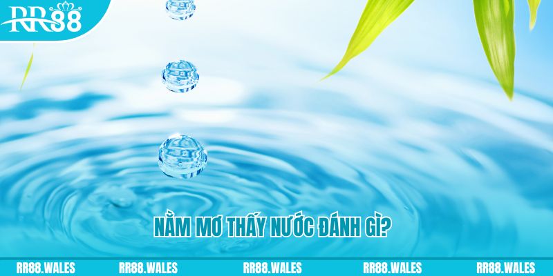 so xo 888 TP Bắn cá