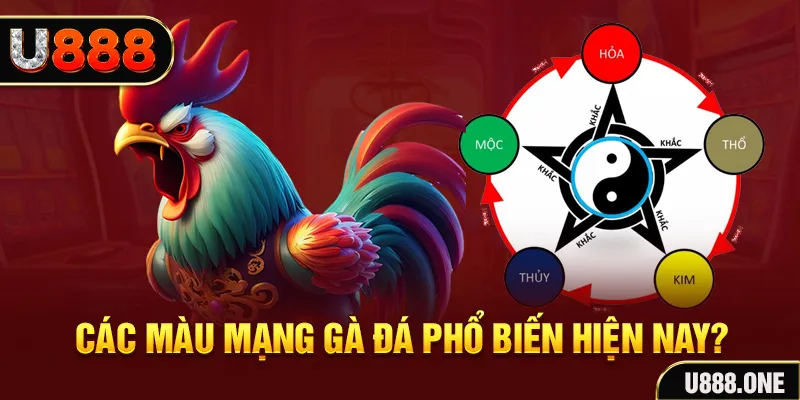 so xo 888 trực tiếp đá gà 88