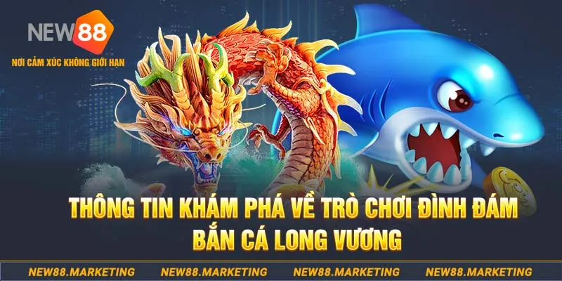 so xo 888 baccarat lừa đảo như thế nào