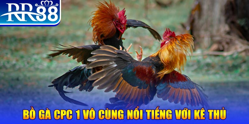 so xo 888 game máy bay nổ hũ