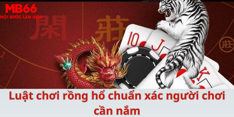 so xo 888 xổ số cà mau