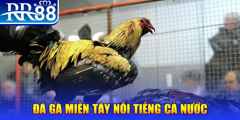 so xo 888 JILI Game Bài 3d
