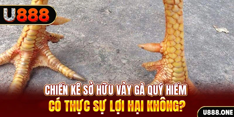 so xo 888 nohu .mx nổ hủ là gì