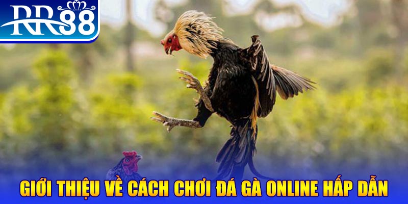 so xo 888 game nổ hũ rút tiền mặt là gì