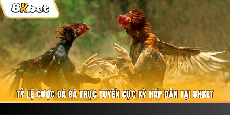 so xo 888 đăng nhập phỏm trực tiếp
