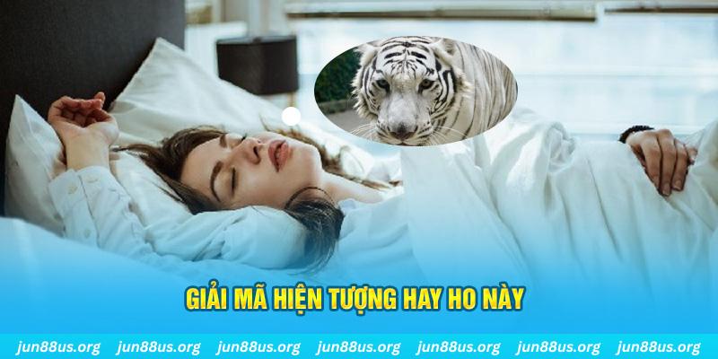 so xo 888 đăng nhập nổ hũ uy tín
