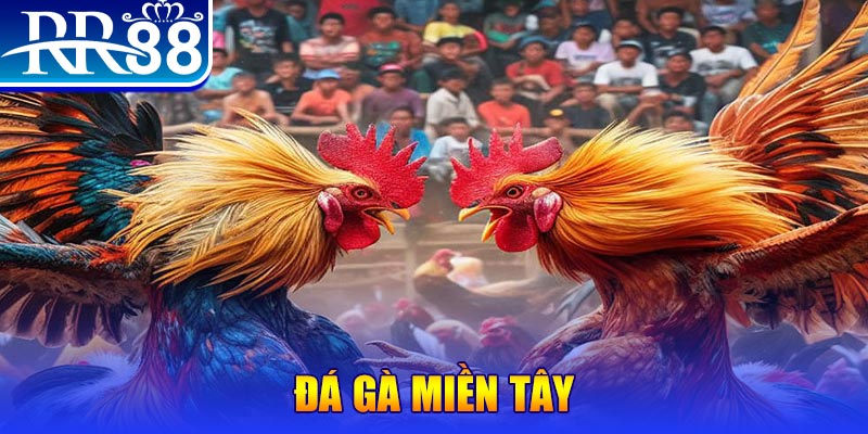 so xo 888 đăng nhập nổ hũ