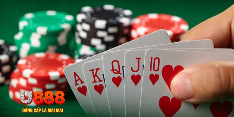 so xo 888 đá gà trực tiếp thomo 67